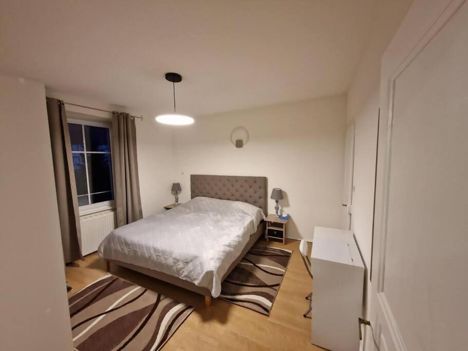 Chez Celine Apartment Colmar Bagian luar foto